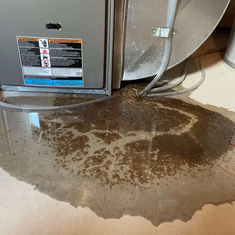 Appliance Leak Cleanup in Sylvania, GA