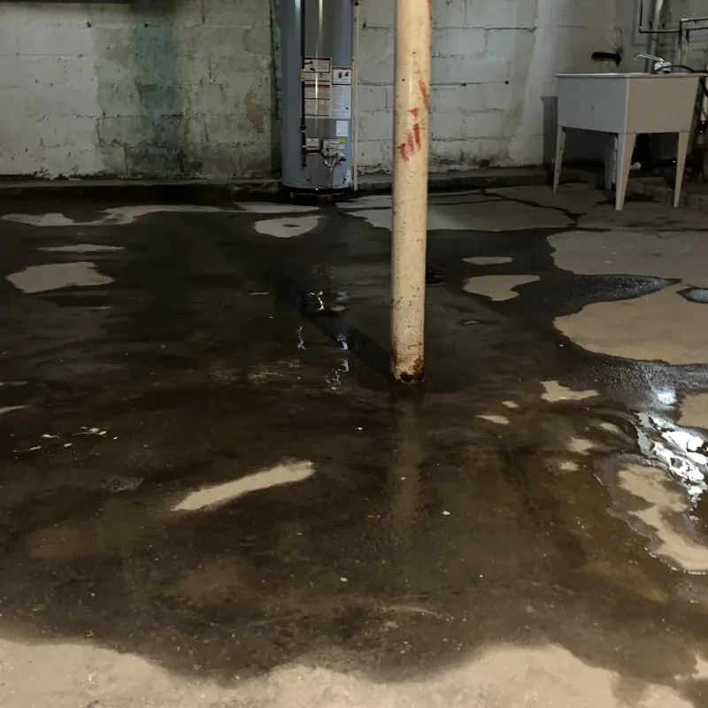 Emergency Water Extraction And Removal in Sylvania, GA